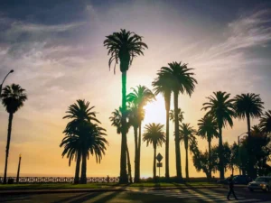 Palm trees silhouetted against a setting sun with a person crossing a street in the foreground. Sky is partly cloudy with warm hues.