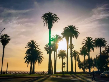 Palm trees silhouetted against a setting sun with a person crossing a street in the foreground. Sky is partly cloudy with warm hues.