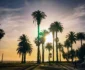 Palm trees silhouetted against a setting sun with a person crossing a street in the foreground. Sky is partly cloudy with warm hues.